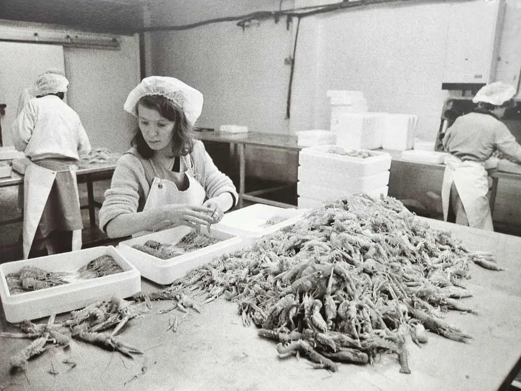 Rare Photographs Bring North Shields’ Fishing Heritage Back to Life 6 | Wonder Wheel Studio & Gallery 20251007 165833 | Wonder Wheel Studio & Gallery