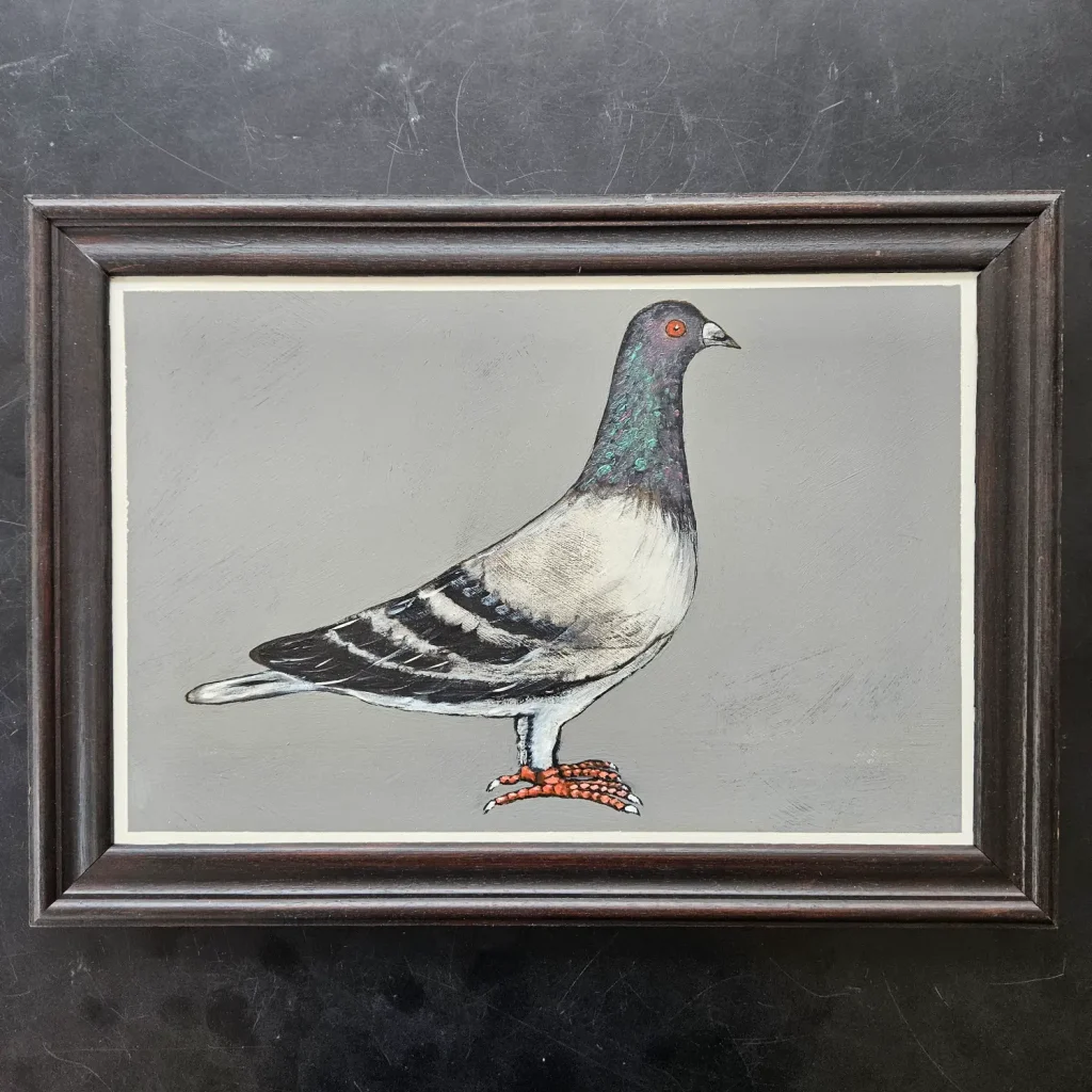 08. Pigeon